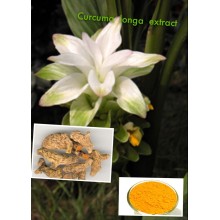 Hochwertiger Curcuma Longa Extrakt (CAS: 458-37-7)