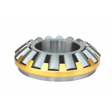 Thrust taper roller bearing (TT10121546)