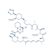 Zotarolimus(ABT-578) 221877-54-9