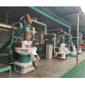 Chinese Big Gear Transmission Biomass Wood Pellet Mill