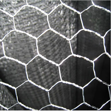 Good Oxidation Resistance Hexagonal Wire Mesh