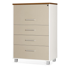 Hot Selling Filing Cabinet with 5 Drawers (FOH-8B-06)