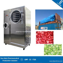 Small Freeze Drying Machine /Vacuum Freeze Dryer