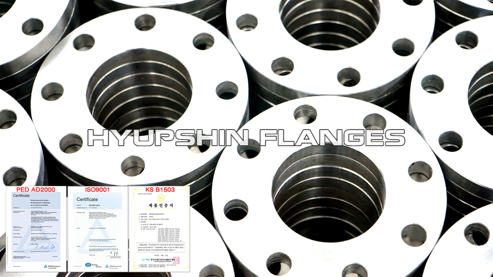 Hyupshin Flanges Sans1123 Flanges Slip On