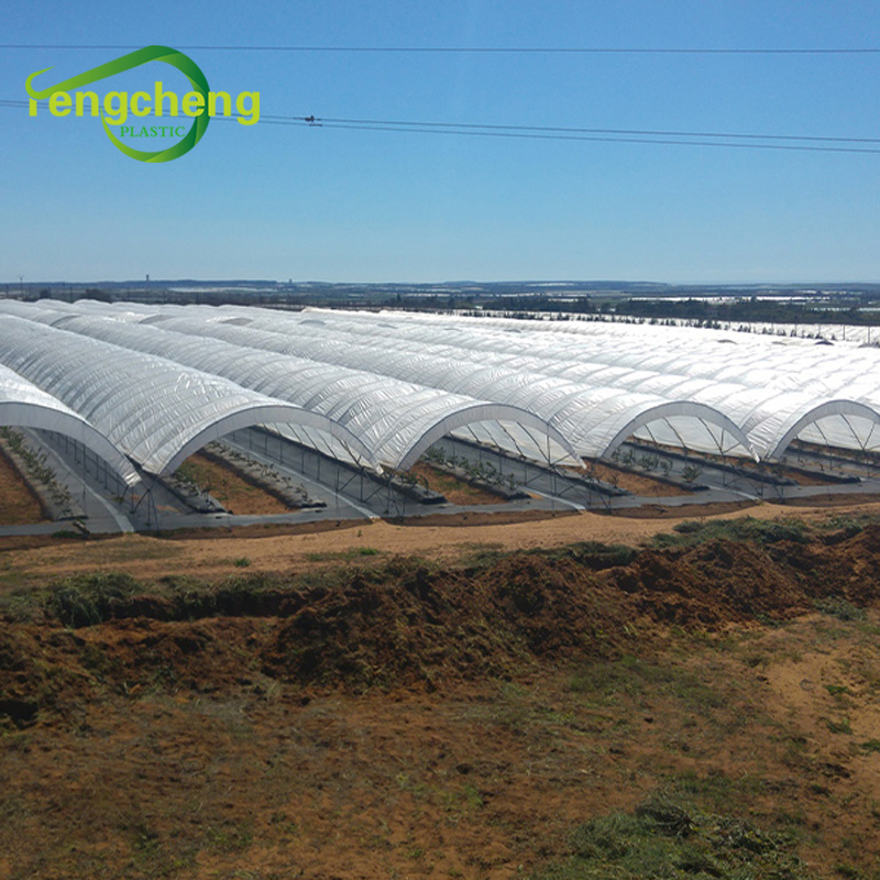 White Greenhouse Film