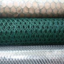 PVC revestido / galvanizado Hexagonal fio Mesh