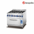 Stainless Steel Gas Range with Oven