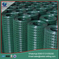 galvanized welded wire mesh pvc welded mesh