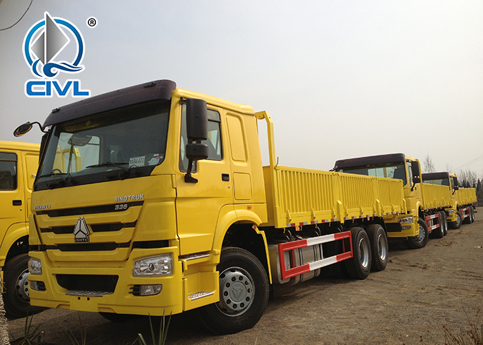 336hp Howo 6x4 Cargo Truck 2