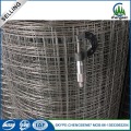 Galvanized Welded Rabbit Cage Wire Mesh Coils