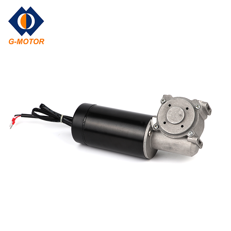 Worm Gear Motor