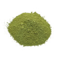 Orgnaic Matcha Green Tee Pulver 100% reines