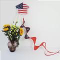 Custom American Polyester National Flag Wind Sock Windsock