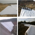 Nichtramt Pet Geotextile Filter Fabric Road Highway