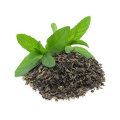 green tea extract Polyphenols EGCG