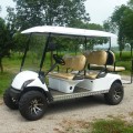 gas golf cart with off-road tyre