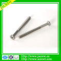 Customized Special Stainless Steel Self Tapping screw