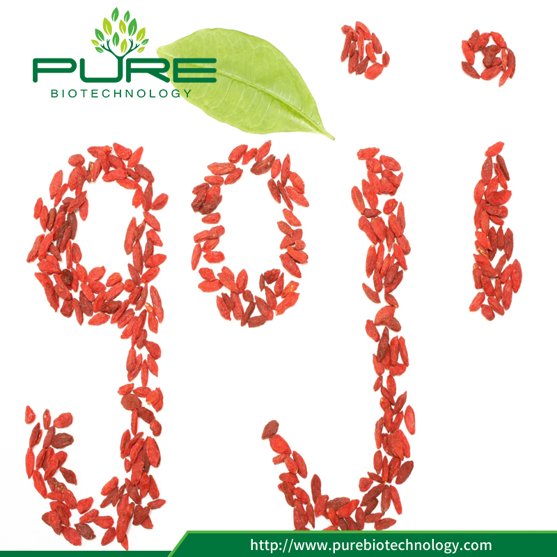 Sun Dried Goji Berries