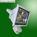 80W COB LED Flood Light