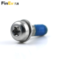 Stainless Steel Torx Pan Head SEMS Screw with Spring Washer