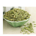 Chinese New Crop Best Price for Fennel Seeds