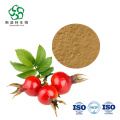 Melhores produtos de beleza de pele Rosehip Extract Powder