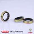 Xlong Fornecimento High Grade Bonded Seal