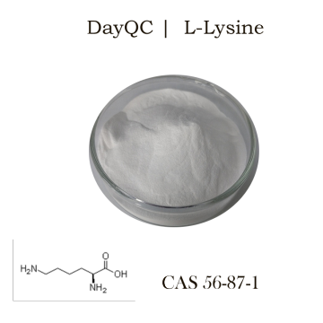 Hot Sale Grade Food Grade CAS 56-87-1 L-Lysine