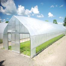 Serre tunnel en plastique de type résistant au vent à envergure multiple avec système de refroidissement à effet de serre pour la plantation de fleurs