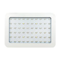 led 1000w grow light uk hydroponic