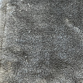 Integrated velvet fleece for home wear fabric