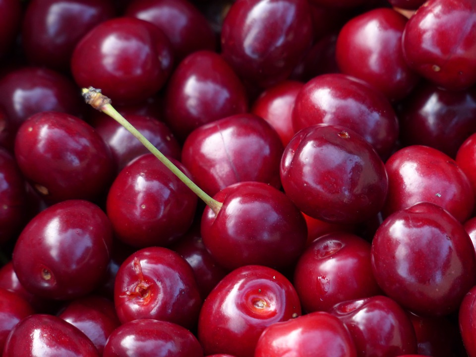 Cherry Fruit Extract 1