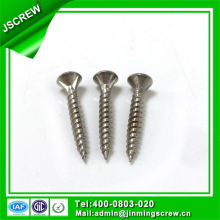 M6 Stainless Steel Self Tapping Screw for Building