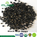 Tibetan Organic Black Wolfberry Bulk Sale