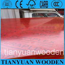 Red Film Faced Plywood/Construction Plywood