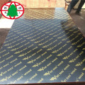 Black film faced plywood for construction marine plywood