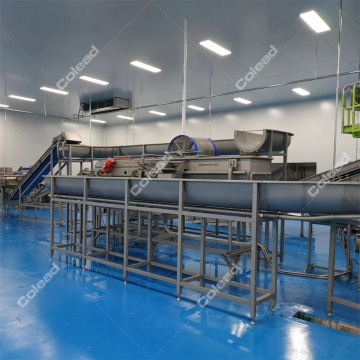 Fruit and vegetable washer/frozen vegetable production line