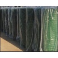 PVC Coated Welded Wire Mesh From Factory