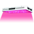 2000W Double Chips LED wachsen leicht