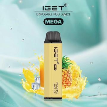 Fruit Flavors Disposable Vape Iget Mega