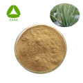 Aloe Vera Extract Powder 10:1 With Competitive Price