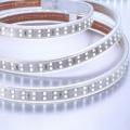 ETL 5050 RGBW Double Line Led strip light