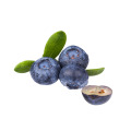 Planta de Salud FD Freeze Dried Blueberry Fruit Powder