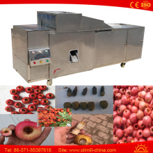 100kg Stainless Steel Date Olive Pitter Machine Olive Pitting Machine