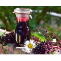 Best Price Black Elderberry Extract powder