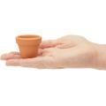 1 1/2 inch Terracotta Pots with Drainage Holes