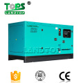 10KW-300KW Ricardo Weifang Engine Diesel Generator