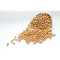 Factory Direct Supply Soybean Extract 40% Soy Isoflavones