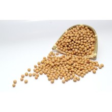 Oferta direta de fábrica Extracto de soja 40% Isoflavonas de soja