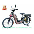 Heavy Duty &Large Loading Capacity E-Bikes (FP-EB-005)